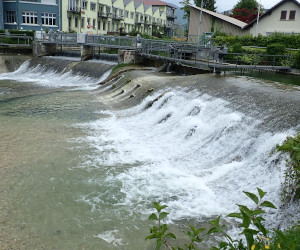 Fisch Monitoring Schweiz
